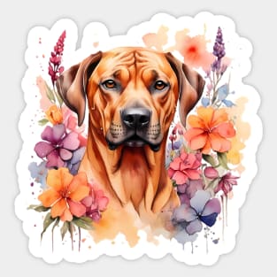 A rhodesian ridgeback decorated with beautiful watercolor flowers Sticker